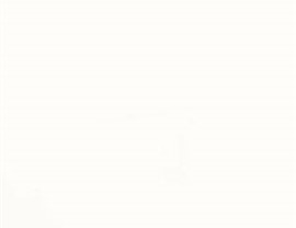 White (gloss / matte)