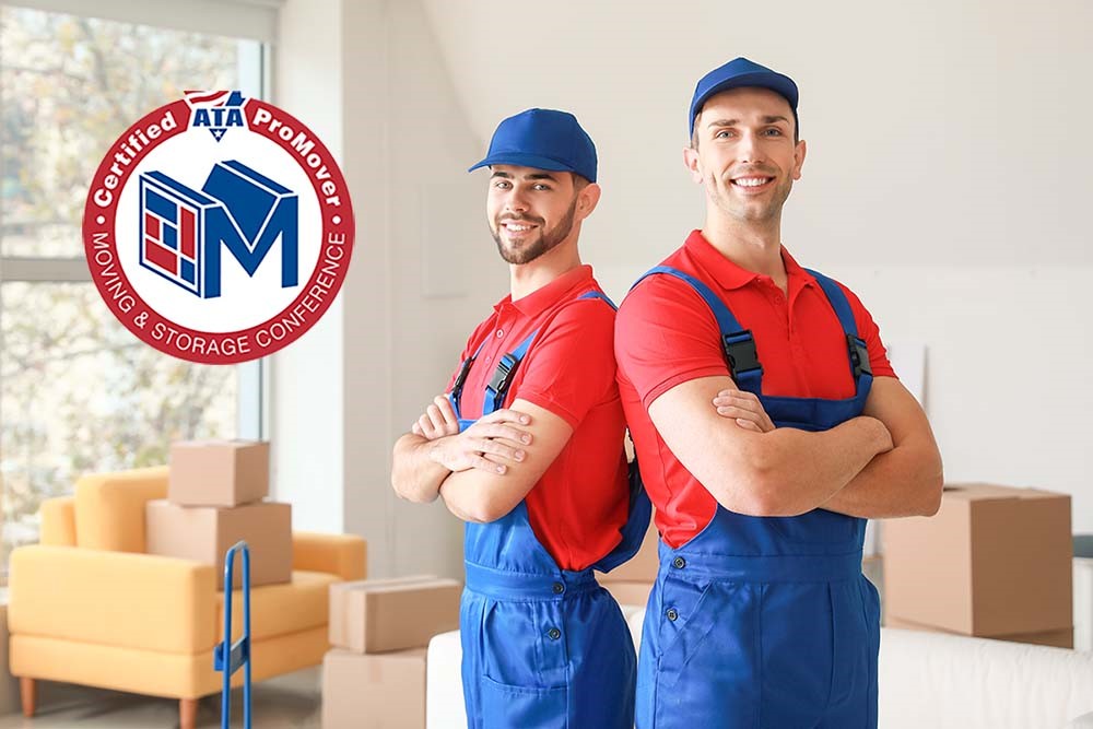 What is a ProMover and Why You Should Use One?