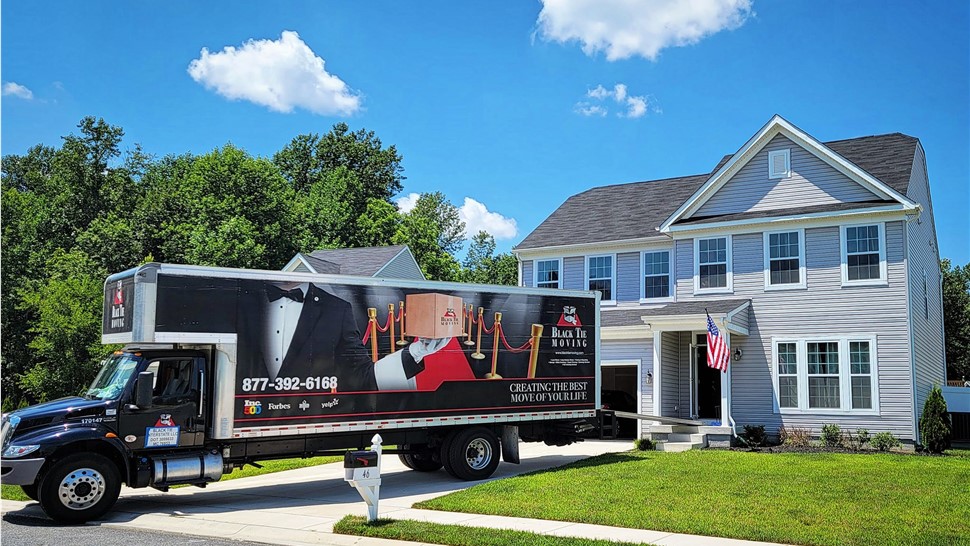 Specialized Moves Photo 8