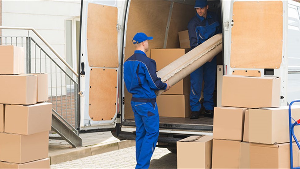 relocation movers service