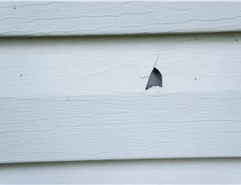 Storm Damage Photo 51