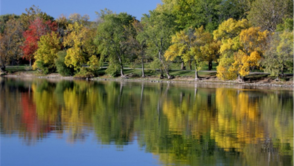 Geneva Movers Photo 1