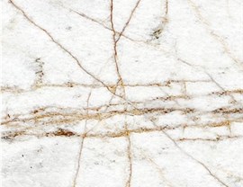 White Colors Photo 7