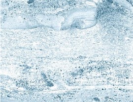 Designer Colors Photo 10