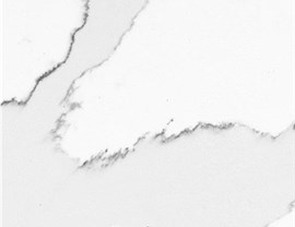 White Colors Photo 19