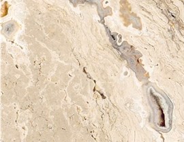 Brown Colors Photo 10