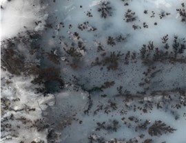 Designer Colors Photo 16