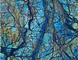 Designer Colors Photo 13