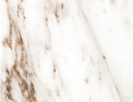 White Colors Photo 8