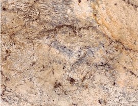 Brown Colors Photo 11