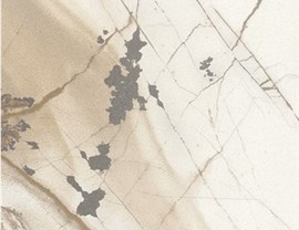 Brown Colors Photo 1