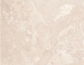 Brown Colors Photo 13