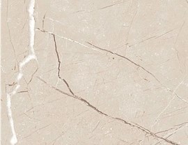 Brown Colors Photo 18