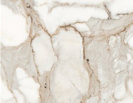 White Colors Photo 5