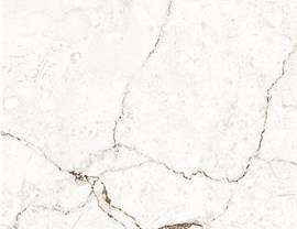 White Colors Photo 18