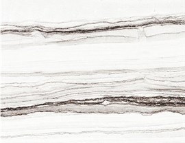 White Colors Photo 16