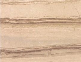 Brown Colors Photo 8