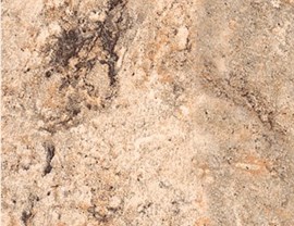 Brown Colors Photo 19