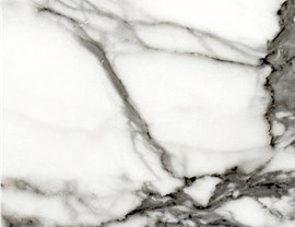 White Colors Photo 15