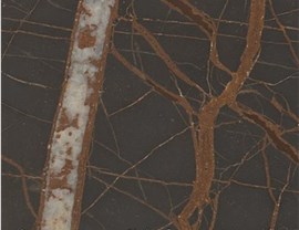 Designer Colors Photo 11