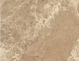 Brown Colors Photo 2