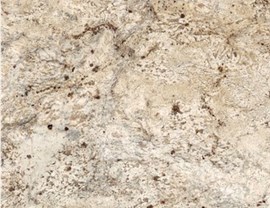 Brown Colors Photo 17