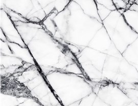 White Colors Photo 10