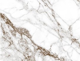 White Colors Photo 13