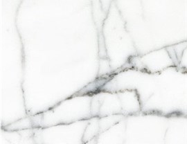 White Colors Photo 3