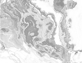 White Colors Photo 12