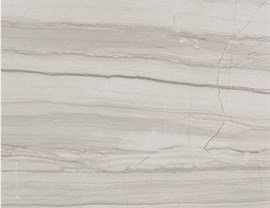 Brown Colors Photo 5