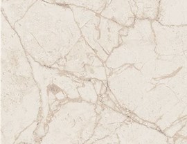 Brown Colors Photo 16