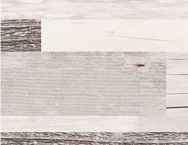 Designer Colors Photo 12