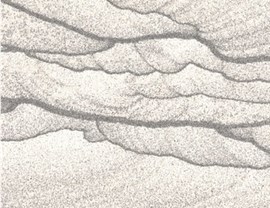 Brown Colors Photo 12