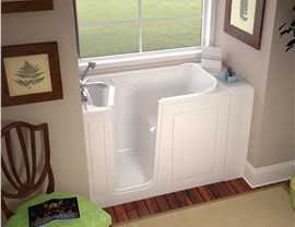 Bathtub Remodel - Walk-in Tubs Photo 4