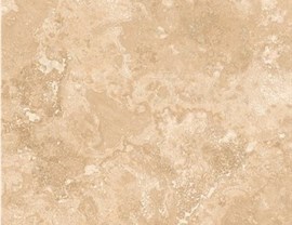 Brown Colors Photo 20