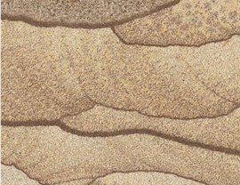 Brown Colors Photo 9