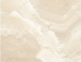 Brown Colors Photo 4