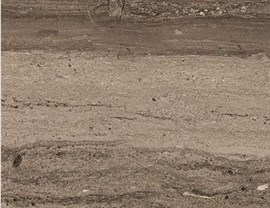 Brown Colors Photo 7