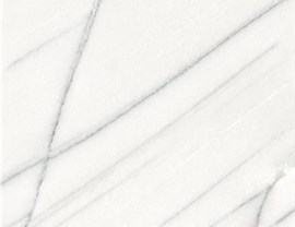 White Colors Photo 17