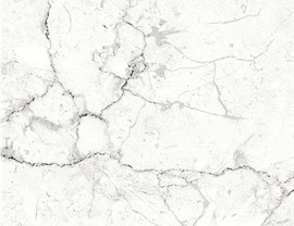 White Colors Photo 14