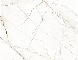 White Colors Photo 22