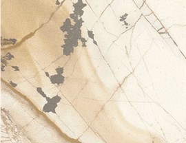 Brown Colors Photo 6