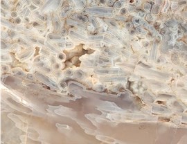 Designer Colors Photo 18