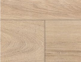 Designer Colors Photo 15