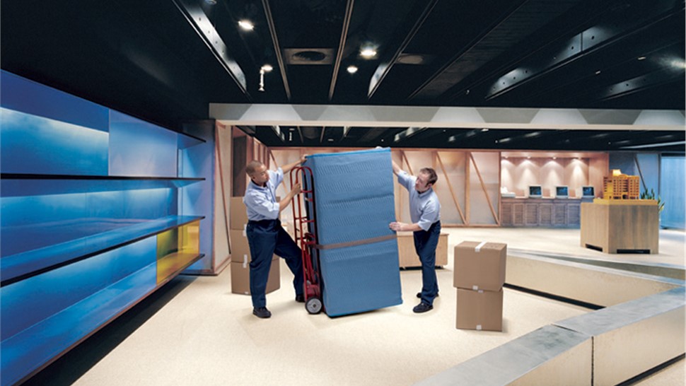 Specialized Movers Photo 1