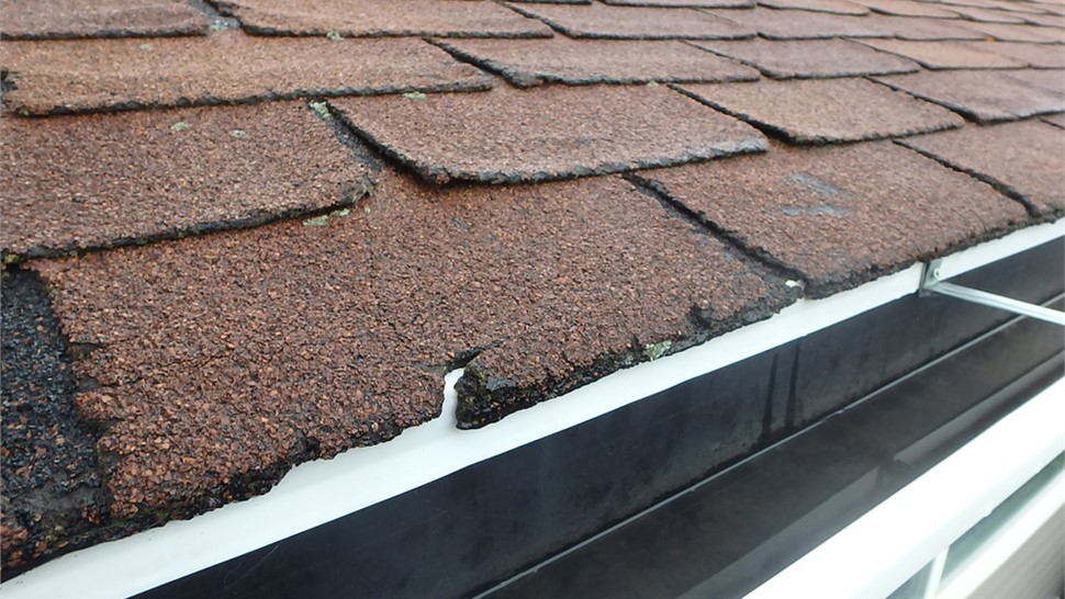 Storm Damage Photo 29