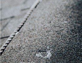 Hail Damage Photo 44