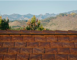 Roof Types Photo 65