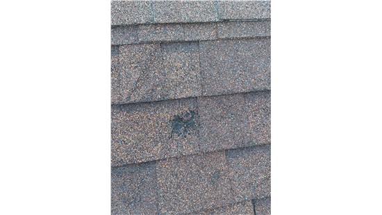 Hail Damage